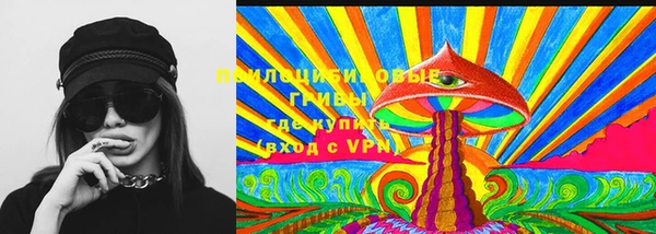 наркотики Каменногорск